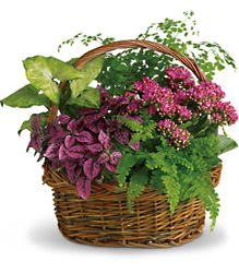 Secret Garden Basket from Boulevard Florist Wholesale Market